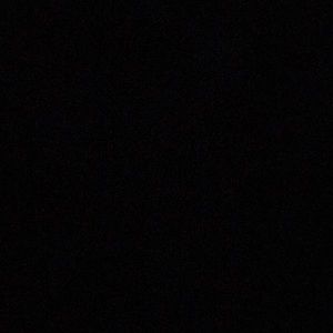 Meet your Posher, Bryant